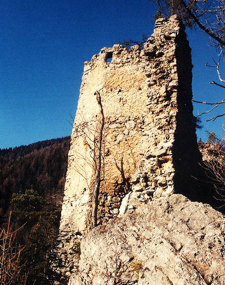 Ehrenfels: der Sechseckturm von Süden. Das Foto ist alt (1995), aber damals wagte ich mich im jugendlichen Übermut noch so weit hinaus, dass man auch die Ecksporne an der Turmbasis sieht.