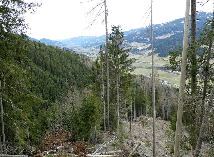 Stattenegg: Aussicht nach Osten auf das Ennstal.