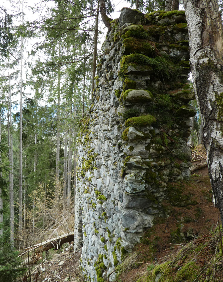 Statteneck: Mauerrest der Ringmauer an der Nordseite